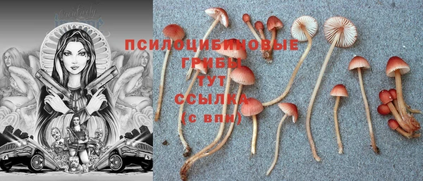 круглые Балахна
