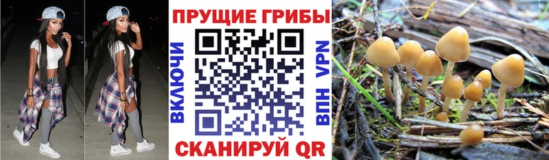 Галлюциногенные грибы мухоморы  даркнет сайт  Белоярский 